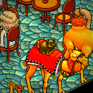 Photo by Andreks