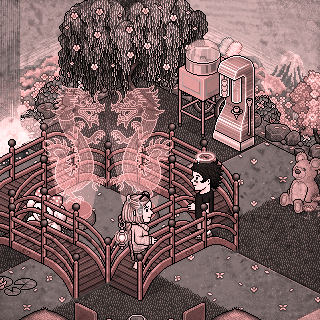 Photo by trajeflores
