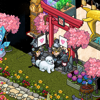 Photo by x.:Hinata:.x