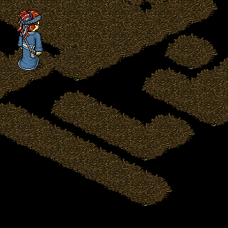 Photo by samurain532