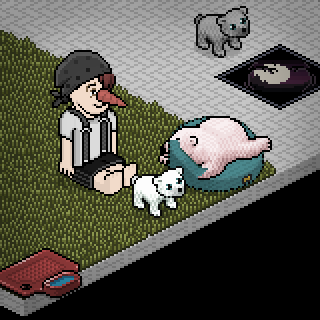 Photo by _.Ray._