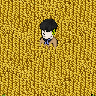Photo by fafali