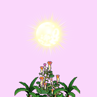 Photo by Glitch