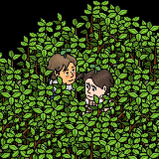 Photo by haro