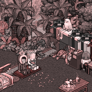 Photo by Hady