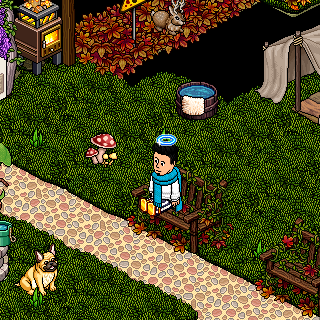 Photo by -Jhon
