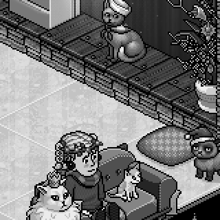 Photo by Avena_Con_Miel