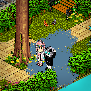 Photo by -Fena