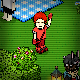 Photo by :sOyHAbBo2019: