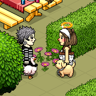 Photo by Aguss.