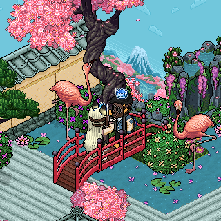Photo by NoonaOwo