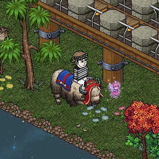 Photo by @DiegoHabboES