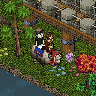 Photo by @DiegoHabboES
