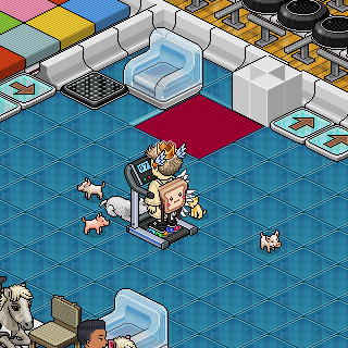 Photo by Jo.C