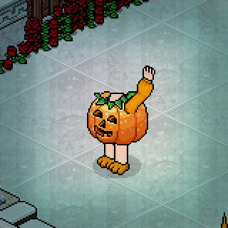 Photo by Wink,