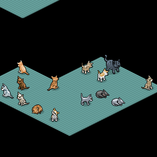 Photo by Yunaleska17