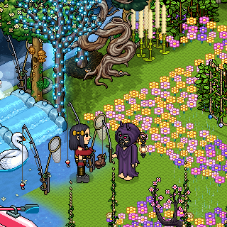 Photo by Navikki_M