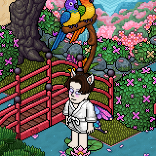 Photo by panchito_.05