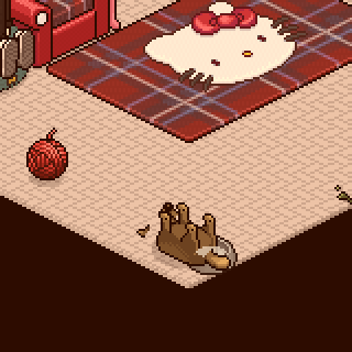 Photo by rodrizepam