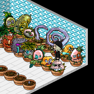 Photo by ,.bin
