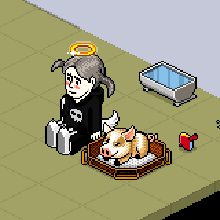 Photo by Cheetitos:D