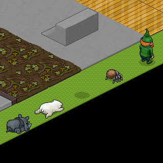 Photo by .HabboBoy