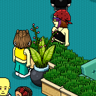 Photo by lu.xury