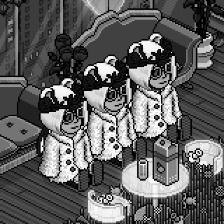 Photo by :Xavi