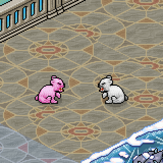Photo by Nathy