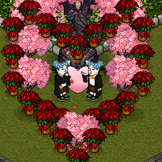 Photo by Momo.Bunny