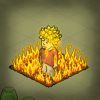 Photo by Oddish