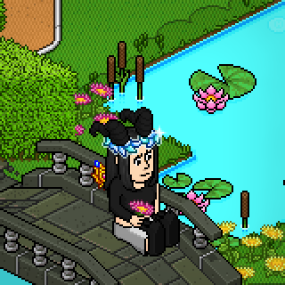 Photo by Aelin,