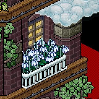Photo by Kira22