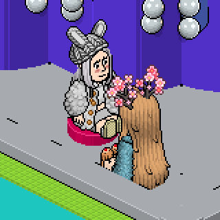Photo by :Hanami