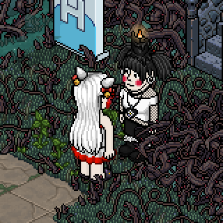 Photo by :Hanami