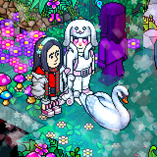 Photo by :Hanami