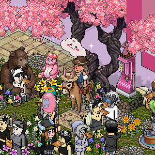 Photo by sereia,