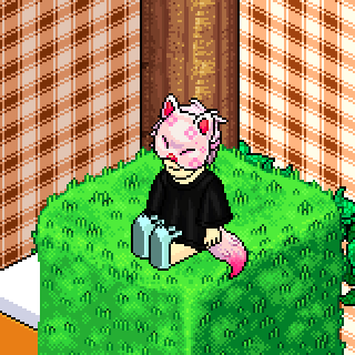 Photo by Tr0nchat0r0