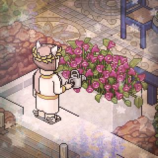 Photo by Hime!