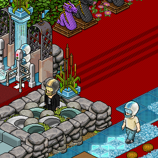 Photo by MAMMAMAMMU