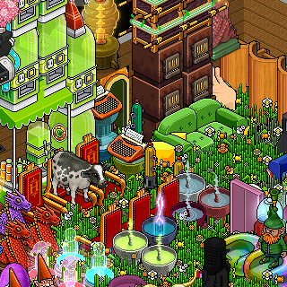 Photo by Kalwo