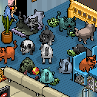 Photo by Chatteli