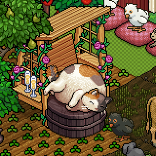 Photo by Noknok