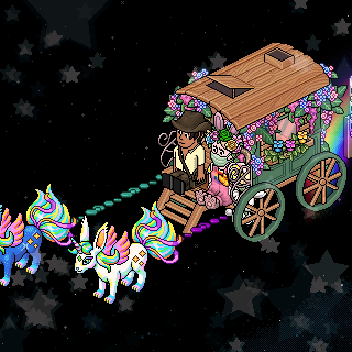 Photo by Erica!