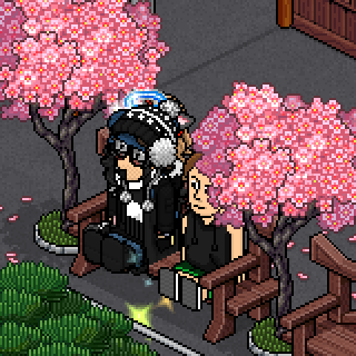 Photo by Sly