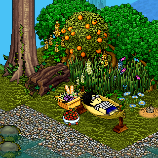 Photo by markus68