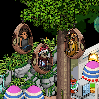 Photo by Hasu