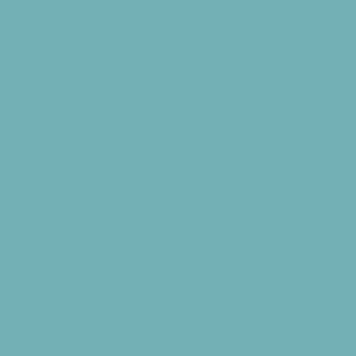 Photo by lain