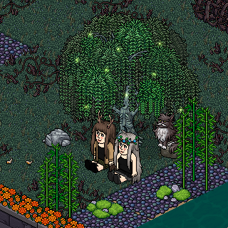 Photo by Amethyst