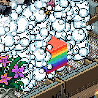 Photo by BlooZzZ